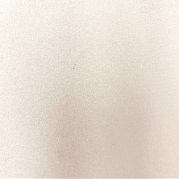 Zara Pink Sheer Long Sleeve with Beaded Collar - Picture 10 of 11